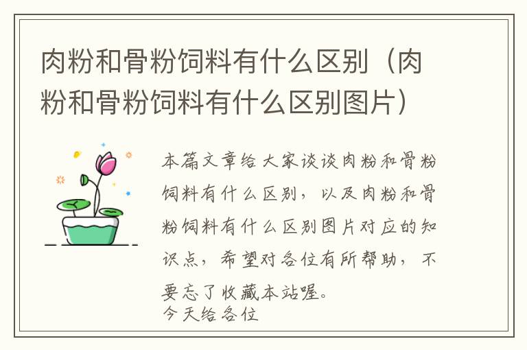 肉粉和骨粉飼料有什么區(qū)別（肉粉和骨粉飼料有什么區(qū)別圖片）