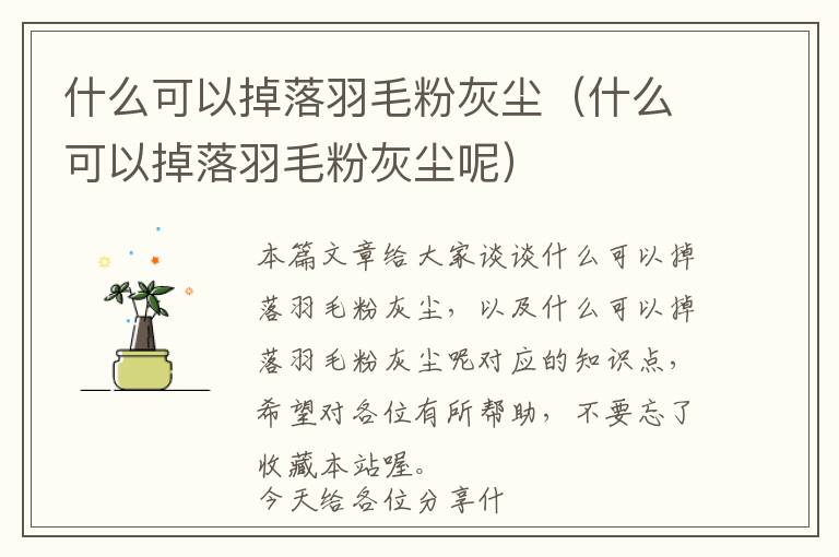 什么可以掉落羽毛粉灰塵（什么可以掉落羽毛粉灰塵呢）