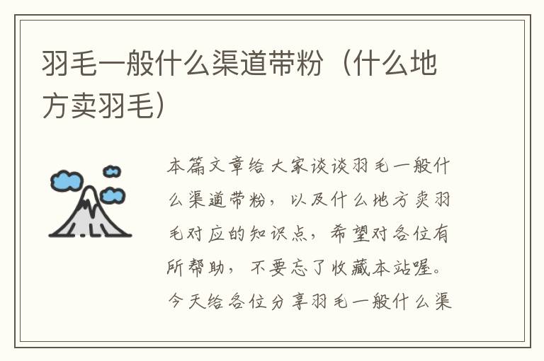 羽毛一般什么渠道帶粉（什么地方賣羽毛）