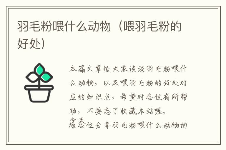 羽毛粉喂什么動物（喂羽毛粉的好處）