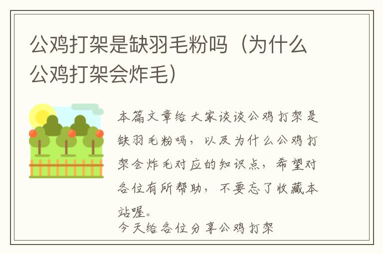 公雞打架是缺羽毛粉嗎（為什么公雞打架會(huì)炸毛）