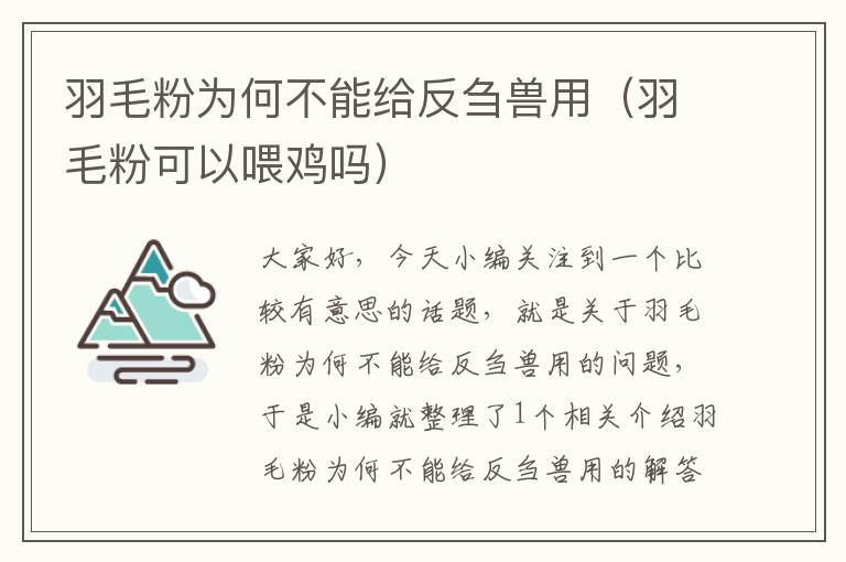 羽毛粉為何不能給反芻獸用（羽毛粉可以喂雞嗎）