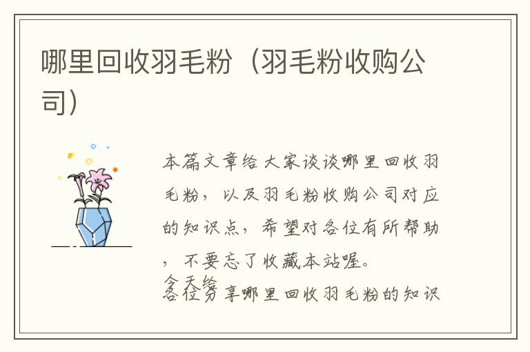 哪里回收羽毛粉（羽毛粉收購公司）