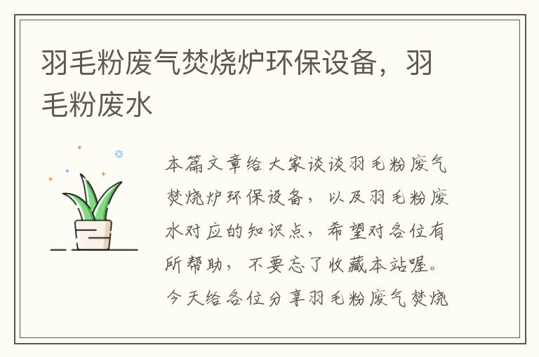 羽毛粉廢氣焚燒爐環(huán)保設(shè)備，羽毛粉廢水