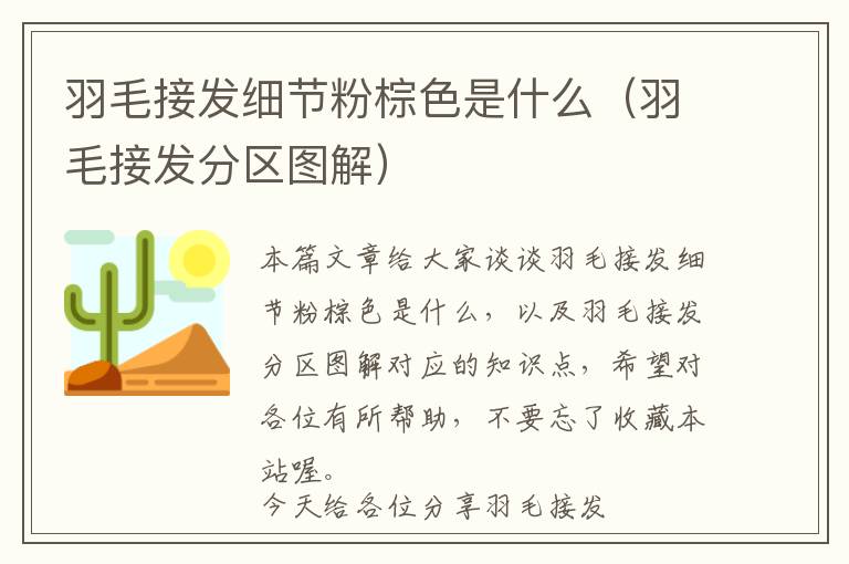 羽毛接發(fā)細節(jié)粉棕色是什么（羽毛接發(fā)分區(qū)圖解）