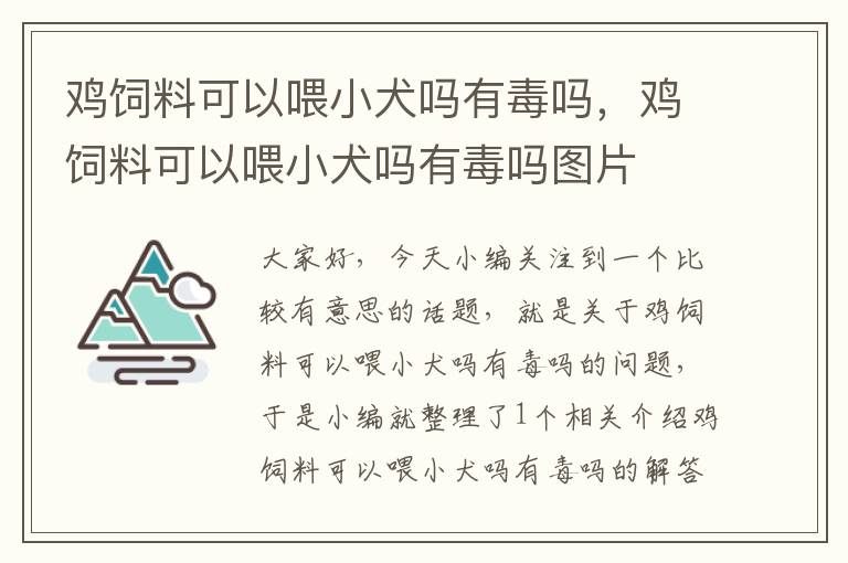 雞飼料可以喂小犬嗎有毒嗎，雞飼料可以喂小犬嗎有毒嗎圖片