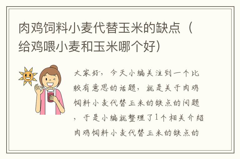 肉雞飼料小麥代替玉米的缺點(diǎn)（給雞喂小麥和玉米哪個(gè)好）