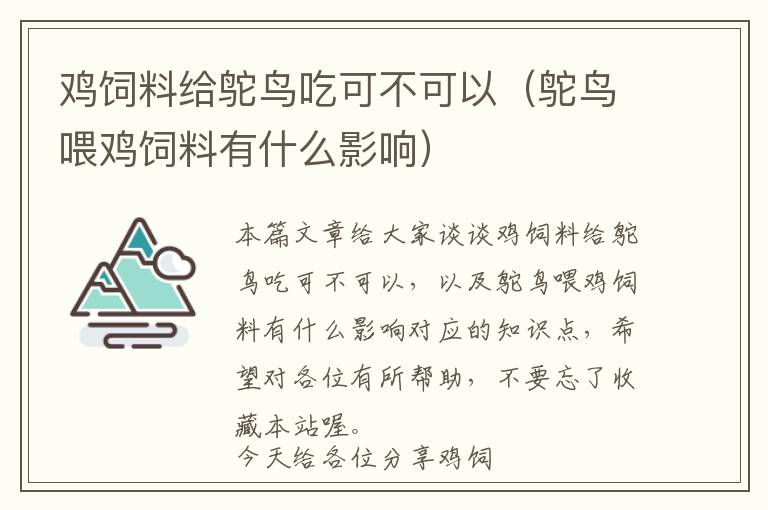 雞飼料給鴕鳥吃可不可以（鴕鳥喂雞飼料有什么影響）