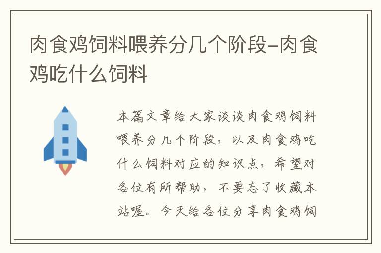 肉食雞飼料喂養(yǎng)分幾個(gè)階段-肉食雞吃什么飼料