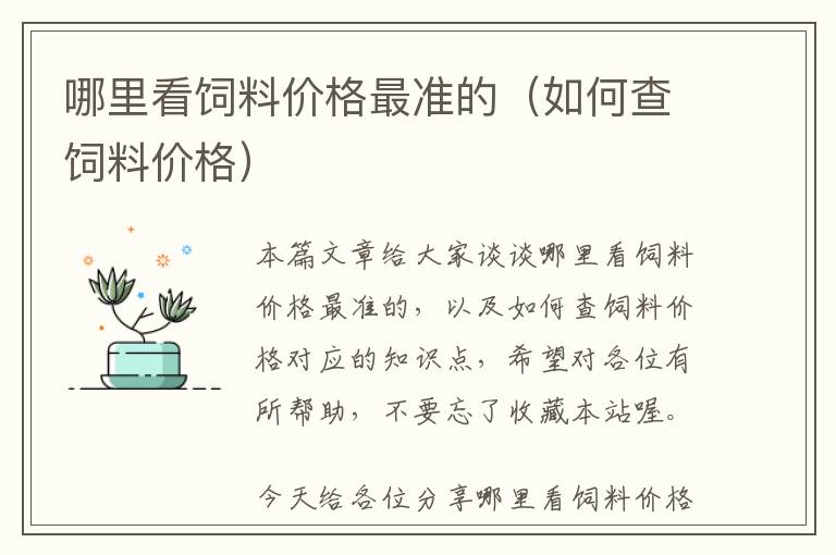 哪里看飼料價格最準(zhǔn)的（如何查飼料價格）