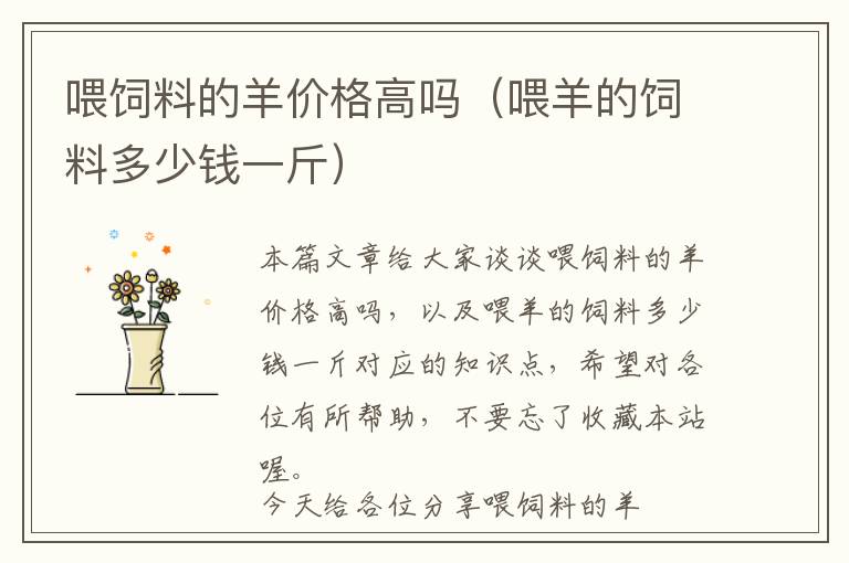 喂飼料的羊價格高嗎(喂羊的飼料多少錢一斤)