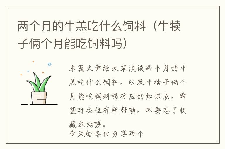 兩個(gè)月的牛羔吃什么飼料（牛犢子倆個(gè)月能吃飼料嗎）