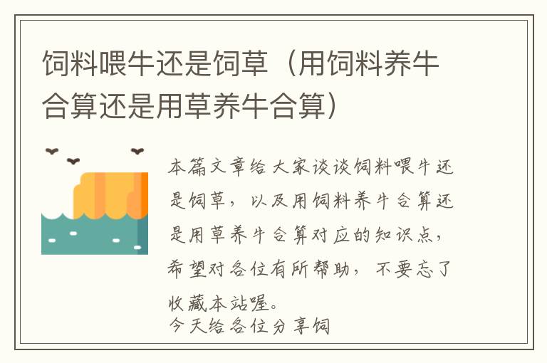 飼料喂牛還是飼草（用飼料養(yǎng)牛合算還是用草養(yǎng)牛合算）