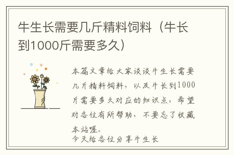 牛生長需要幾斤精料飼料（牛長到1000斤需要多久）