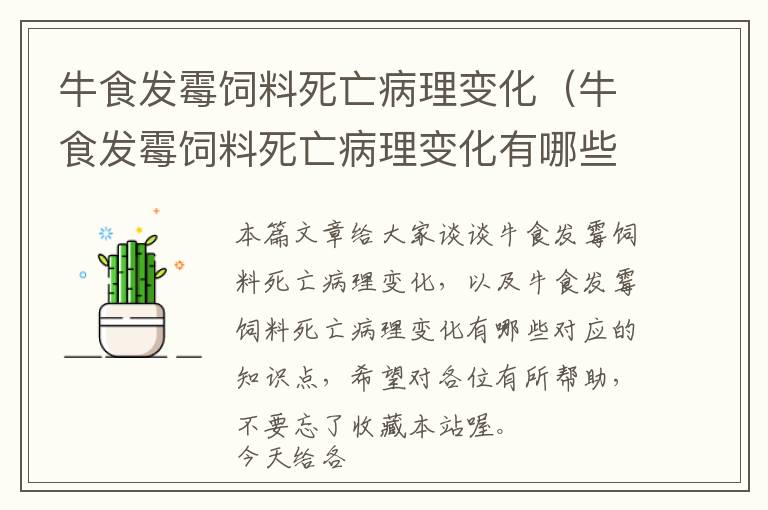 牛食發(fā)霉飼料死亡病理變化（牛食發(fā)霉飼料死亡病理變化有哪些）