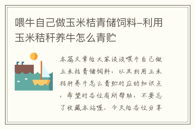 喂牛自己做玉米桔青儲飼料-利用玉米秸稈養(yǎng)牛怎么青貯