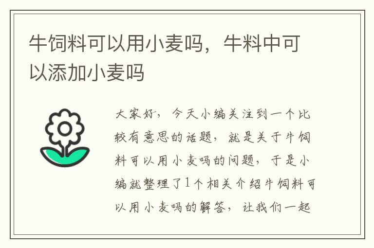 牛飼料可以用小麥嗎，牛料中可以添加小麥嗎