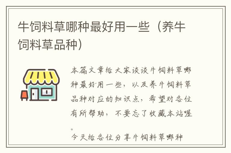 牛飼料草哪種最好用一些（養(yǎng)牛飼料草品種）