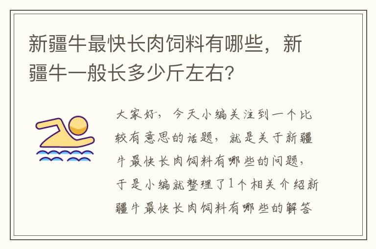 新疆牛最快長(zhǎng)肉飼料有哪些，新疆牛一般長(zhǎng)多少斤左右?