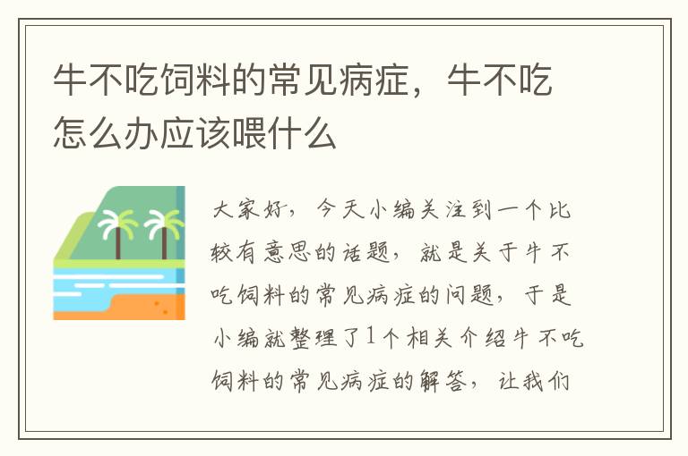 牛不吃飼料的常見病癥，牛不吃怎么辦應該喂什么