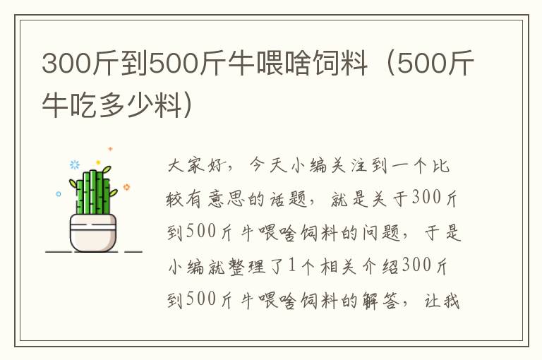 300斤到500斤牛喂啥飼料（500斤牛吃多少料）