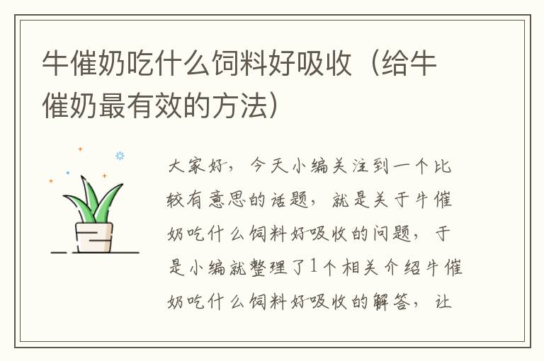 牛催奶吃什么飼料好吸收（給牛催奶最有效的方法）