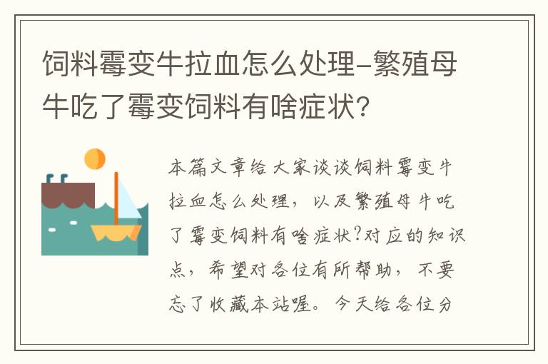 飼料霉變牛拉血怎么處理-繁殖母牛吃了霉變飼料有啥癥狀?