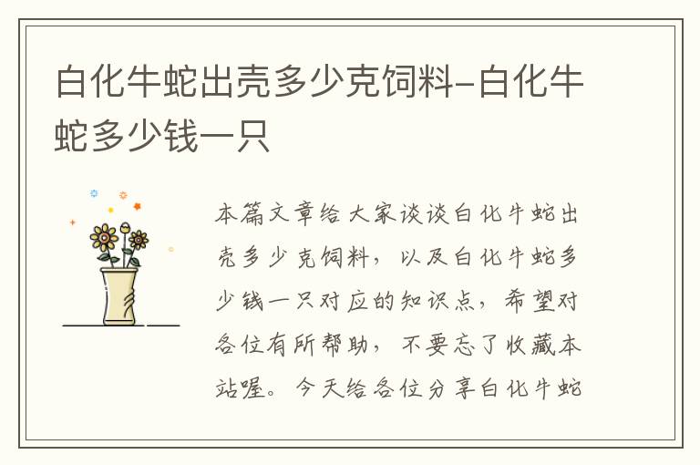 白化牛蛇出殼多少克飼料-白化牛蛇多少錢一只