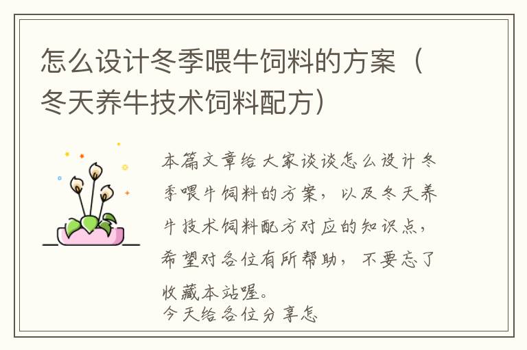 怎么設(shè)計(jì)冬季喂牛飼料的方案（冬天養(yǎng)牛技術(shù)飼料配方）