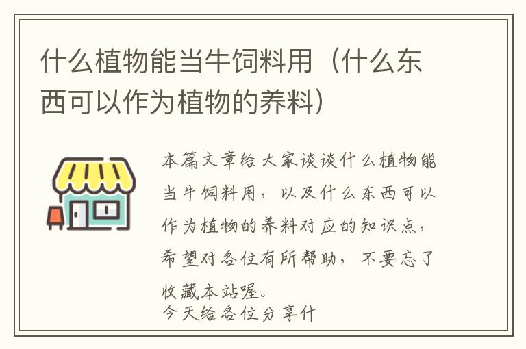 什么植物能當(dāng)牛飼料用（什么東西可以作為植物的養(yǎng)料）