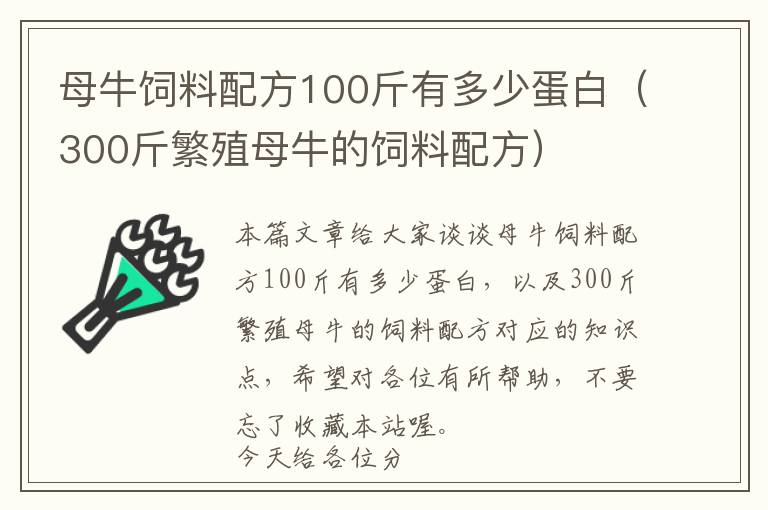 母牛飼料配方100斤有多少蛋白（300斤繁殖母牛的飼料配方）