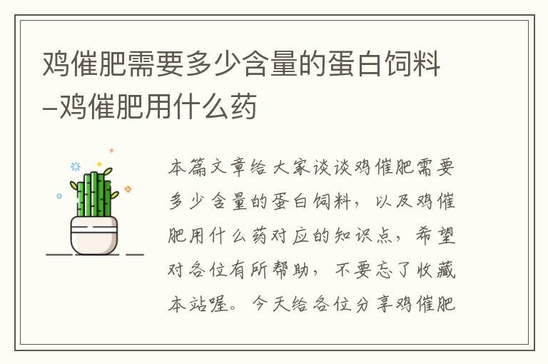 雞催肥需要多少含量的蛋白飼料-雞催肥用什么藥