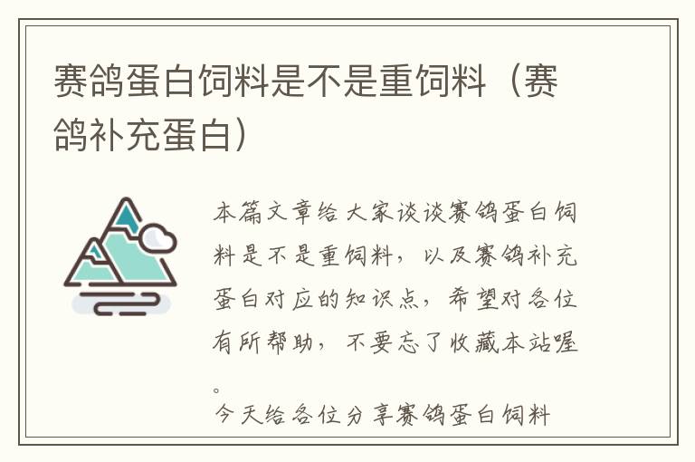 賽鴿蛋白飼料是不是重飼料（賽鴿補(bǔ)充蛋白）