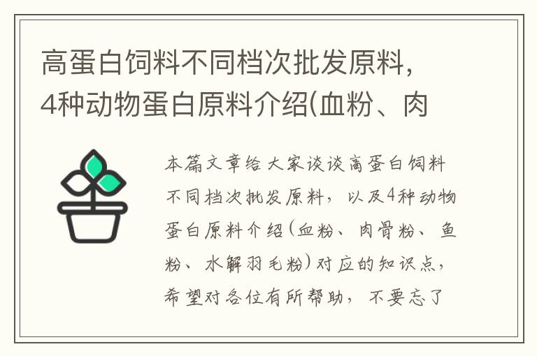 高蛋白飼料不同檔次批發(fā)原料，4種動物蛋白原料介紹(血粉、肉骨粉、魚粉、水解羽毛粉)